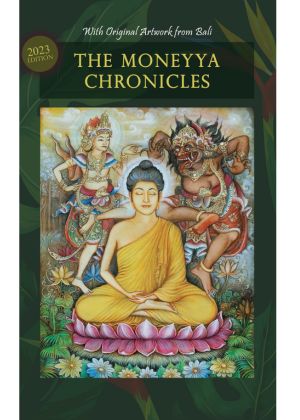 The Moneyya Chronicles book cover, Damick Store