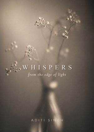 Whispers from the Edge of Light, Damick Store